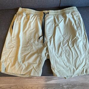 01.ALGO shorts